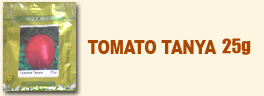 tomato tanya