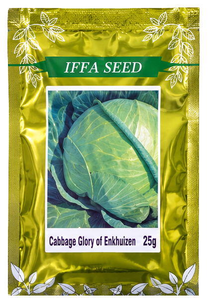 Cabbage Glory of Enkhuizen seed package